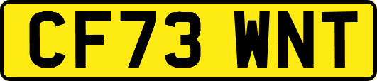 CF73WNT