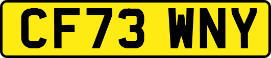 CF73WNY