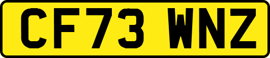 CF73WNZ