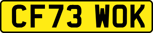 CF73WOK