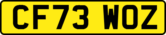 CF73WOZ