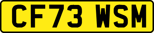 CF73WSM