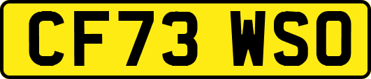 CF73WSO