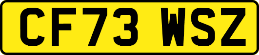 CF73WSZ