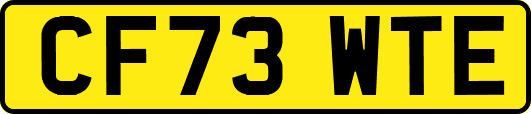 CF73WTE