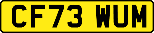 CF73WUM