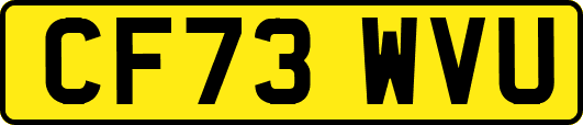 CF73WVU