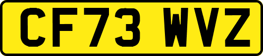 CF73WVZ