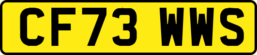 CF73WWS