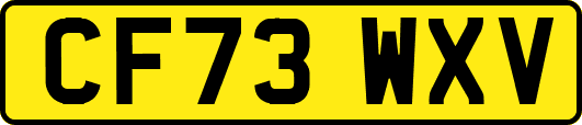 CF73WXV