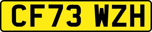 CF73WZH