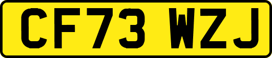 CF73WZJ