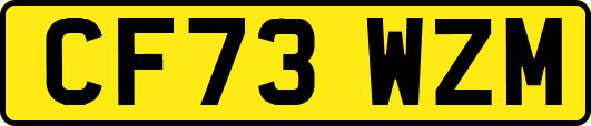CF73WZM