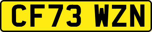 CF73WZN