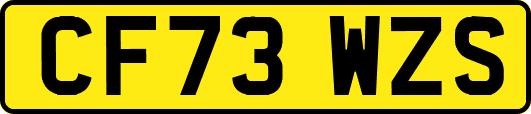 CF73WZS