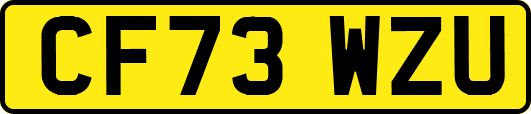 CF73WZU