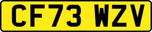 CF73WZV