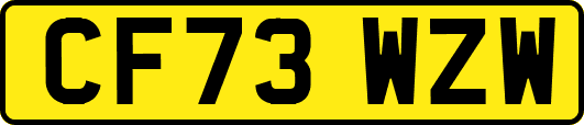 CF73WZW