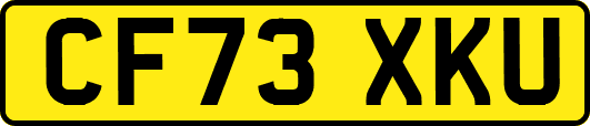 CF73XKU