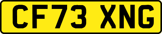 CF73XNG