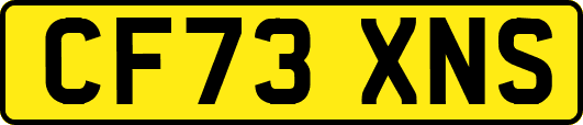 CF73XNS