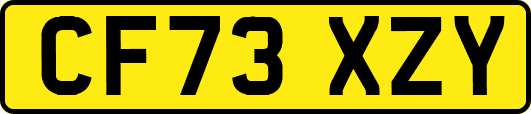 CF73XZY