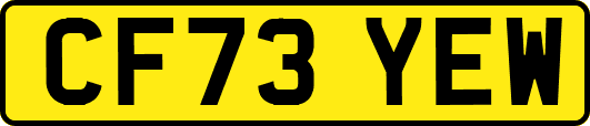 CF73YEW