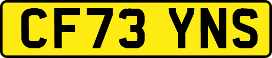 CF73YNS