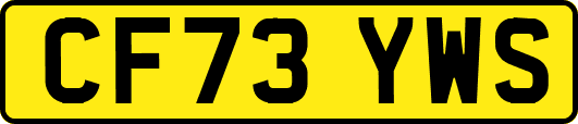 CF73YWS
