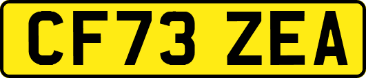 CF73ZEA
