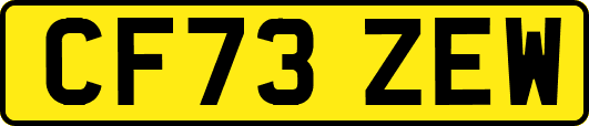 CF73ZEW
