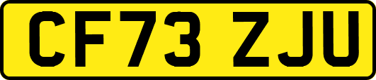 CF73ZJU