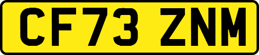 CF73ZNM