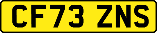 CF73ZNS