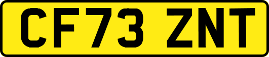 CF73ZNT