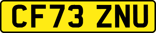 CF73ZNU
