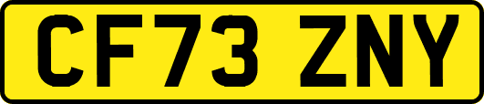 CF73ZNY