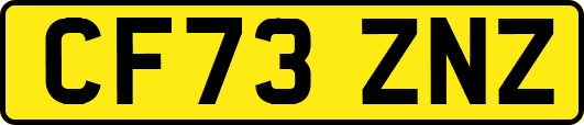 CF73ZNZ