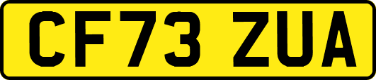 CF73ZUA