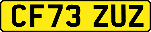 CF73ZUZ