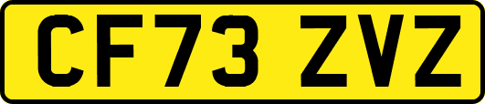CF73ZVZ
