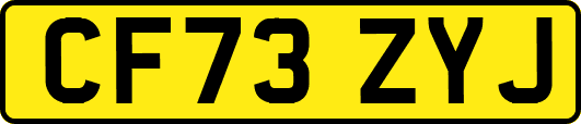 CF73ZYJ