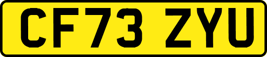 CF73ZYU