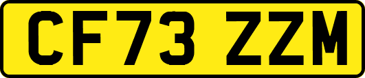 CF73ZZM