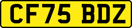 CF75BDZ