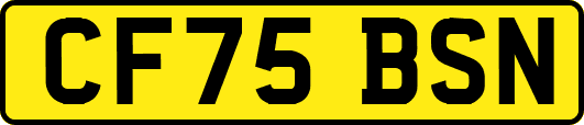 CF75BSN