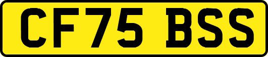 CF75BSS