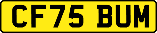 CF75BUM
