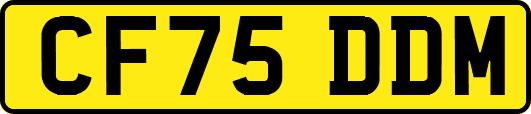 CF75DDM