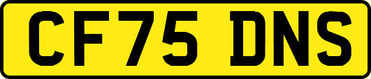 CF75DNS
